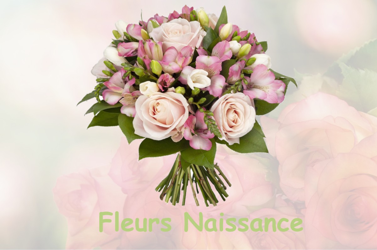 fleurs naissance PARVILLERS-LE-QUESNOY
